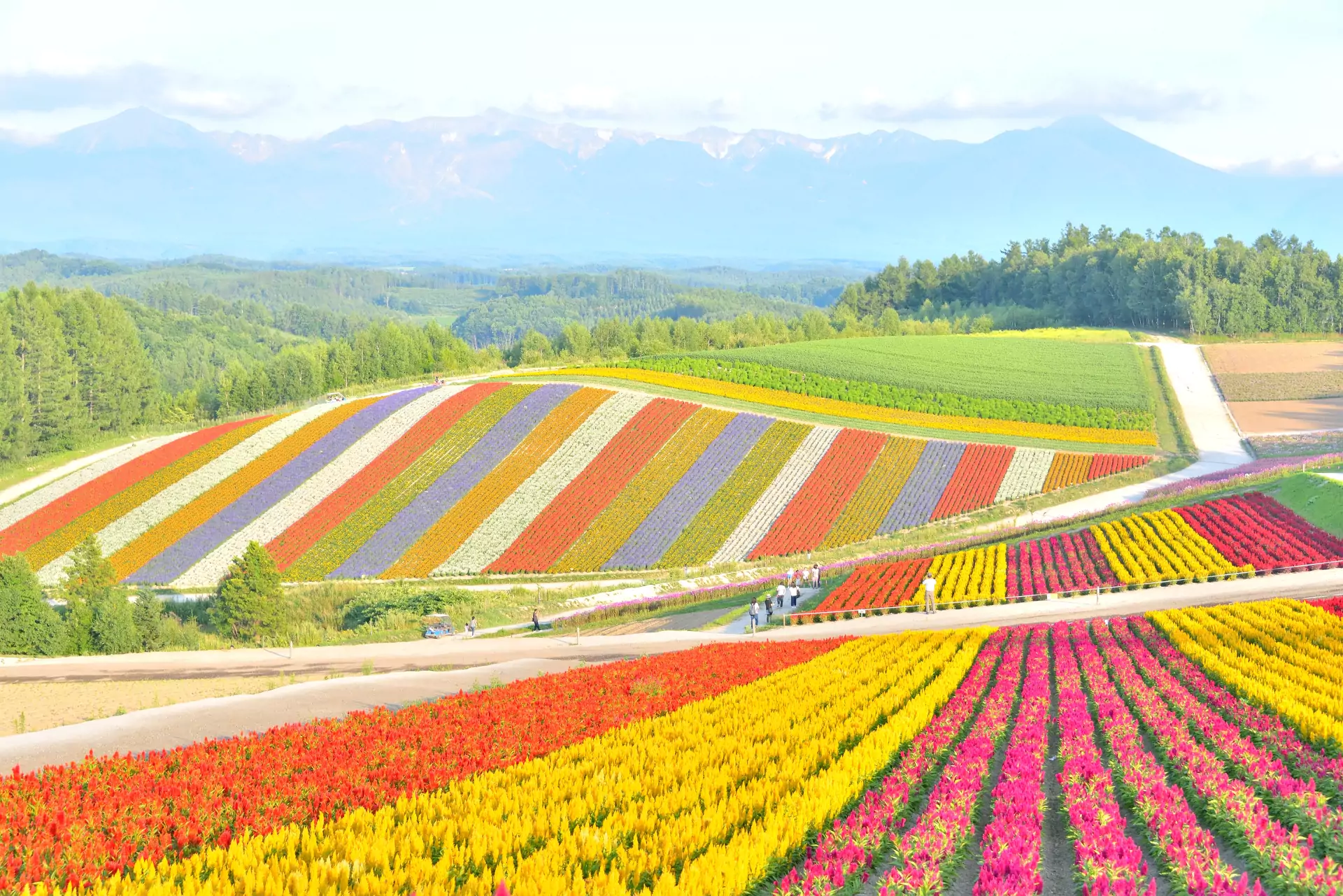 Hokkaido