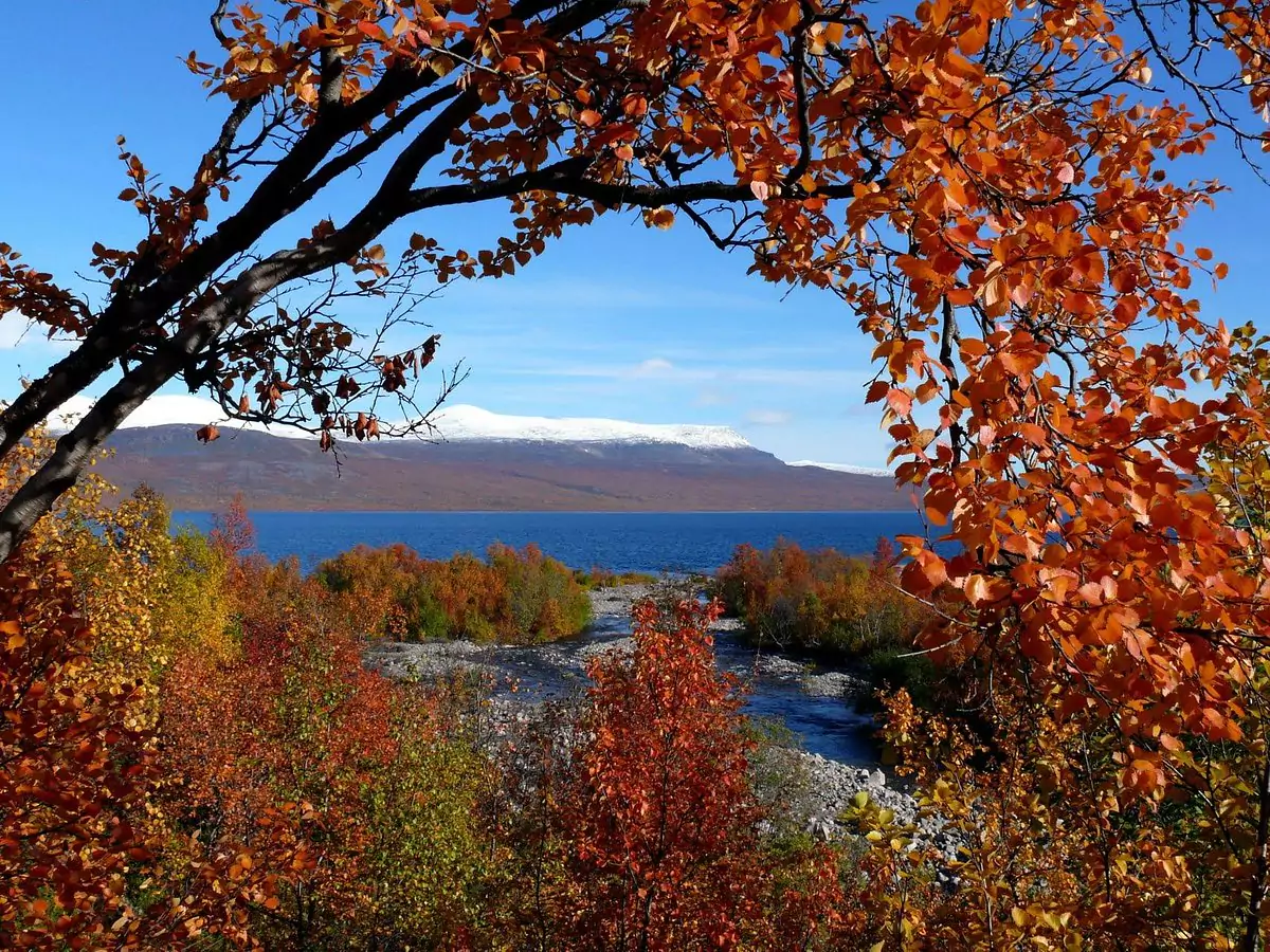 abisko national park