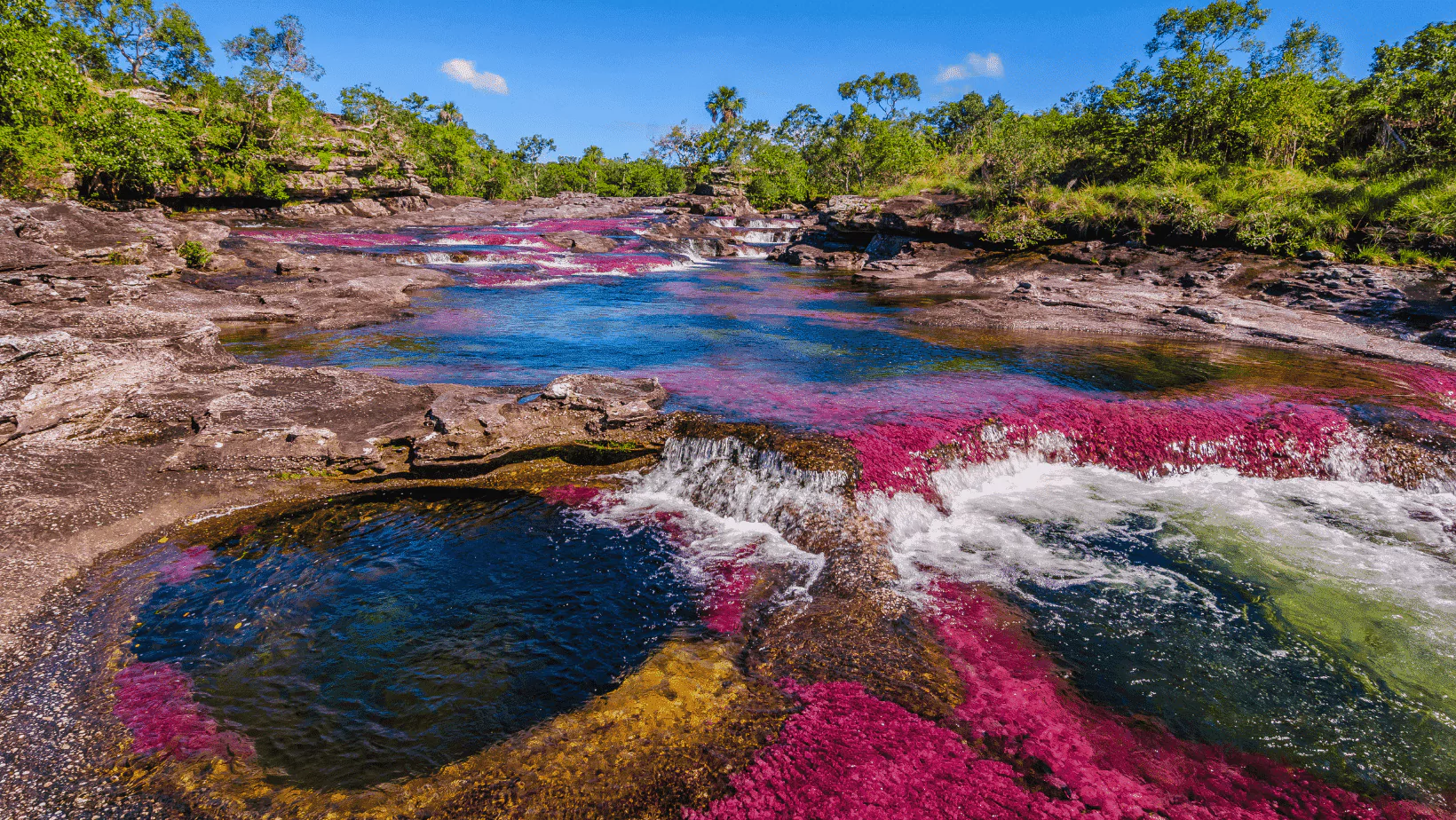 cano cristales portada