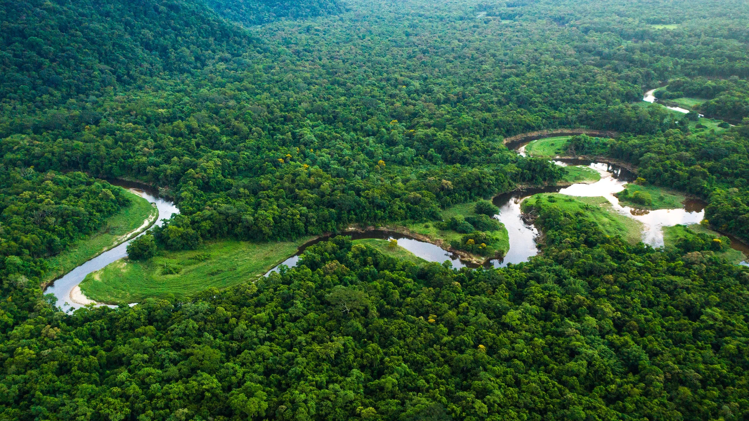 Amazon Rainforest