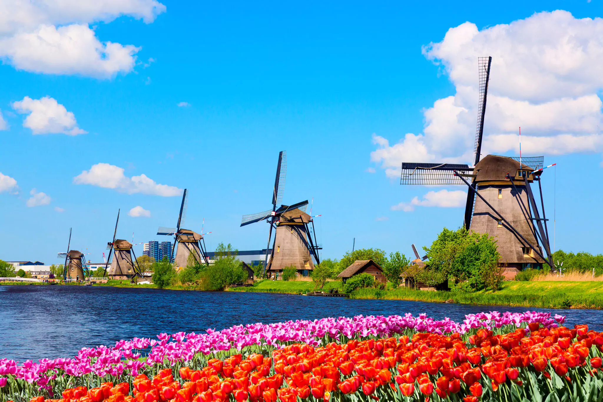 Kinderdijk