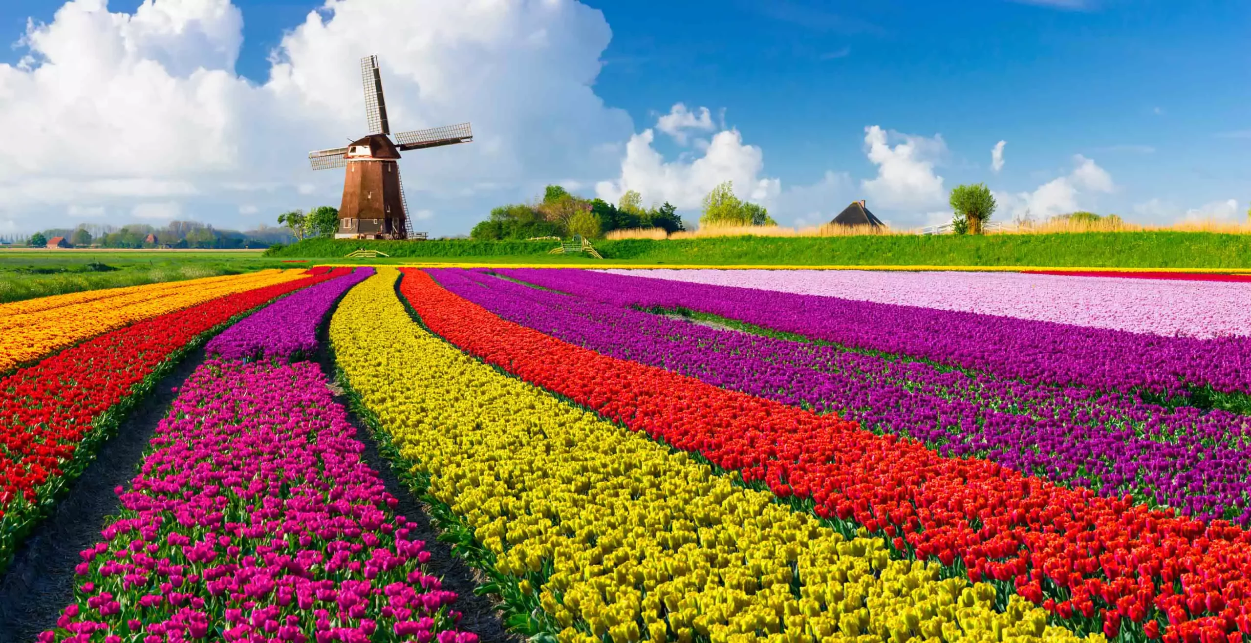 Netherlands