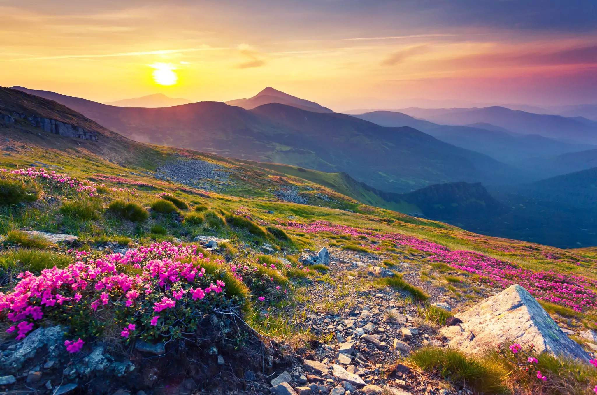 Carpathian Mountains