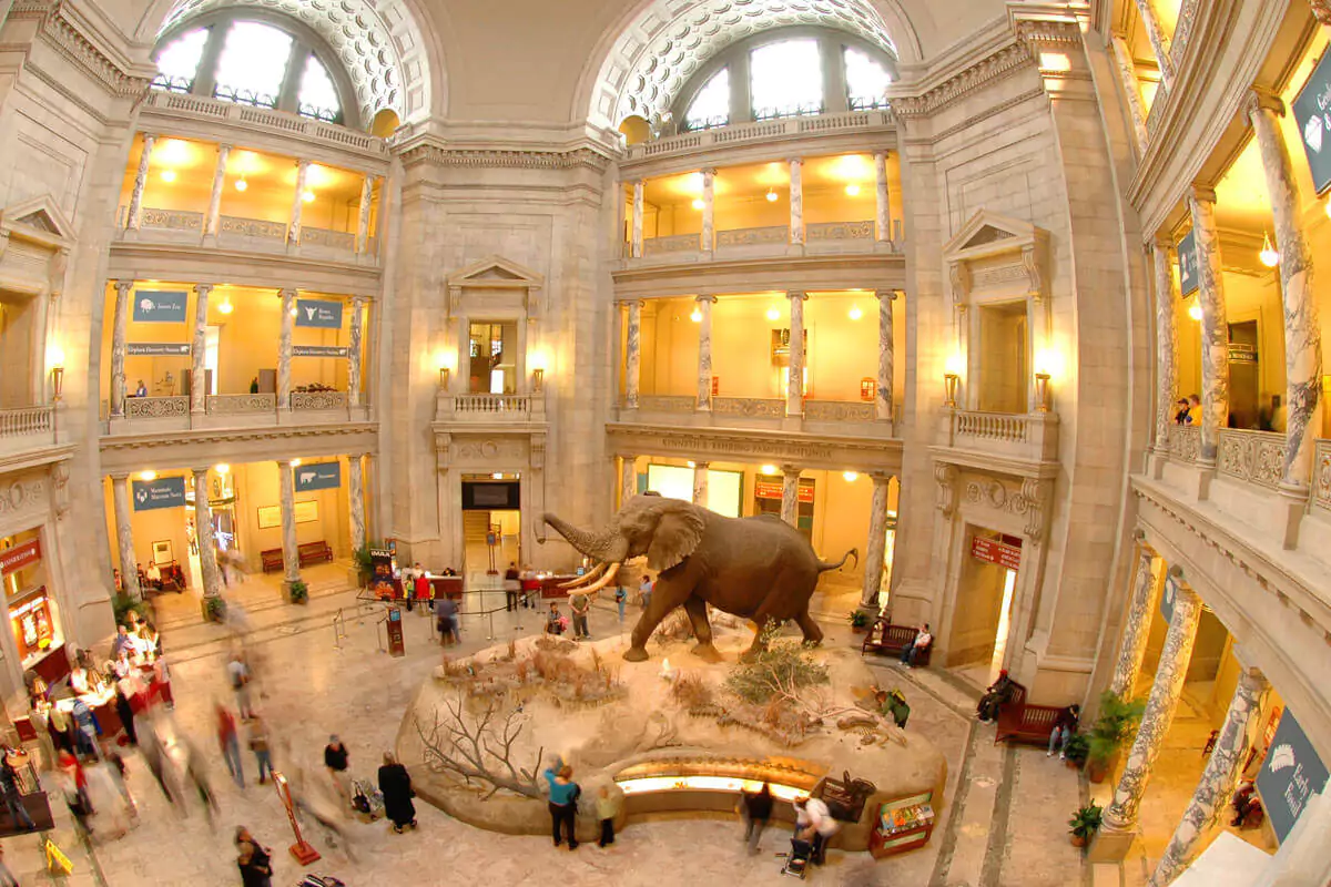 Smithsonian Museums