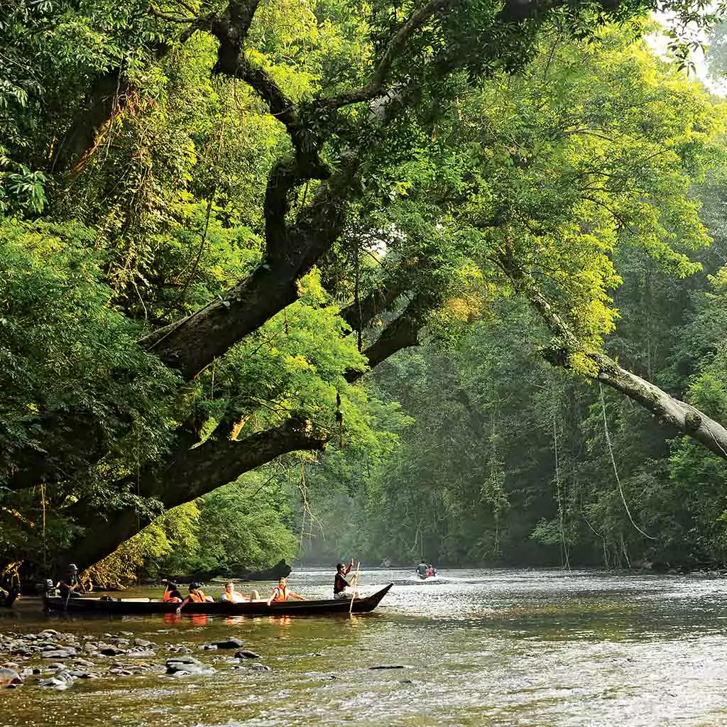 Taman Negara Park