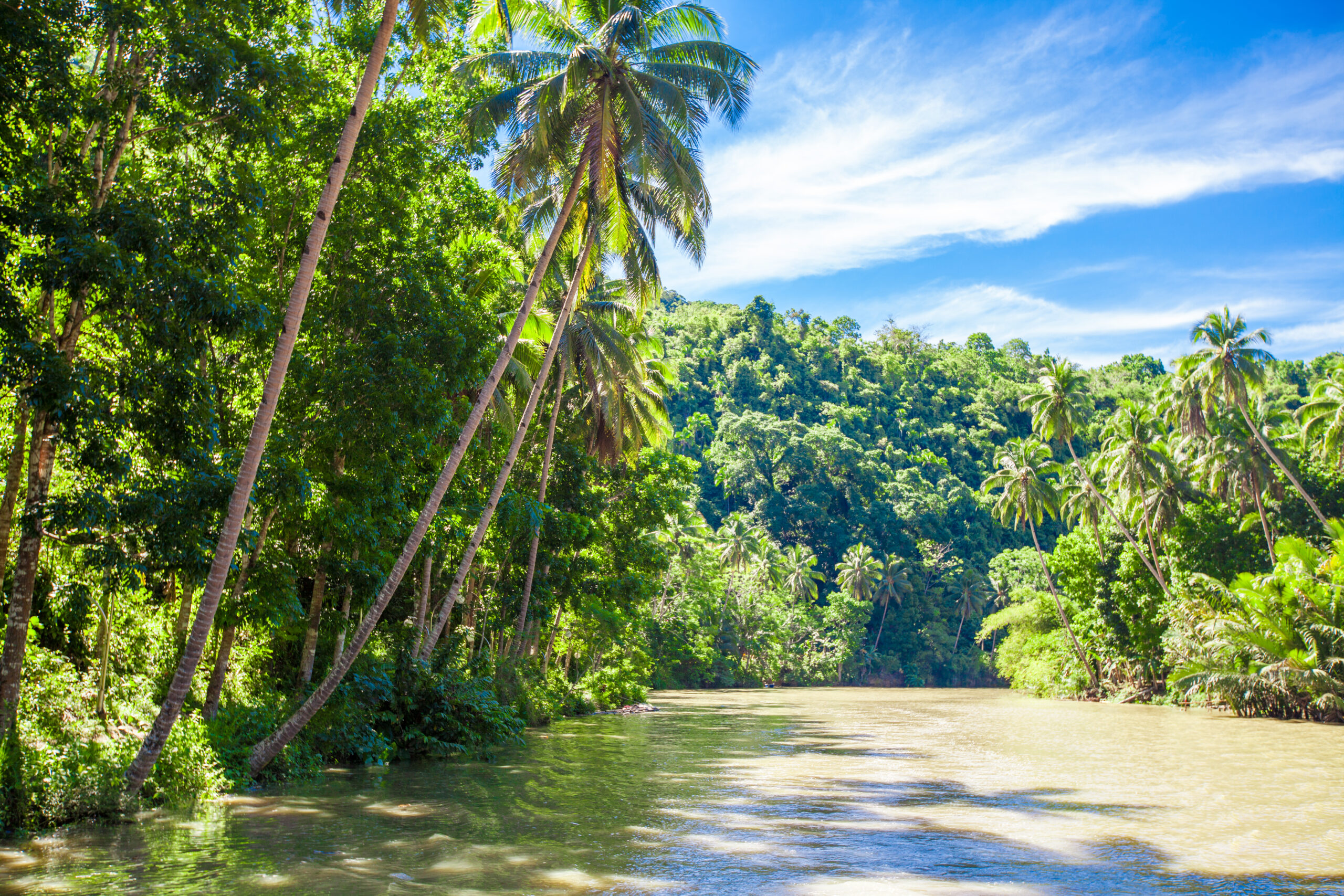 Tropical Loboc river, blue sky, Bohol Island, Philippines